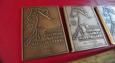 Presseinformation: Sensationeller Erfolg bei der 6. Haflinger Welt Ausstellung in Ebbs/Tirol