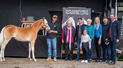 Presseinformation - Tiroler Haflinger Stutfohlen Auktion 2023