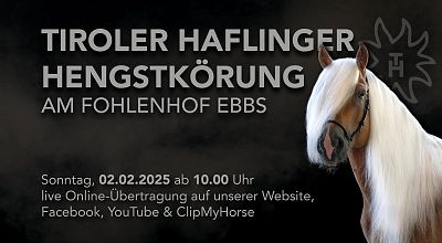 Tiroler Haflinger Hengstkörung - 02.02.2025