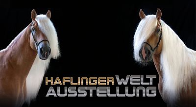 Haflinger Weltausstellung