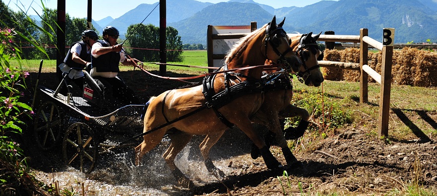 Fohlenhof_Ebbs_Fahrturnier_FotografChristianKapfinger