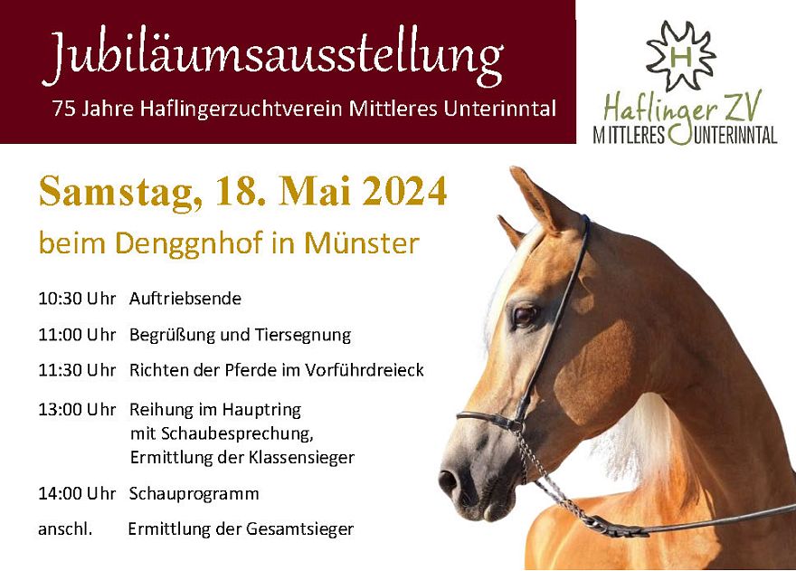 Haflinger Vereinsausstellung Mittleres Unterintal