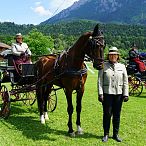 Landesmeisterschaften_Gespannfahren_Fohlenhof_Ebbs_Fotograf_Anita_Baumgartner