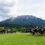 Landesmeisterschaften_Gespannfahren_Fohlenhof_Ebbs_Fotograf_Anita_Baumgartner