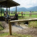 Landesmeisterschaften_Gespannfahren_Fohlenhof_Ebbs_Fotograf_Anita_Baumgartner