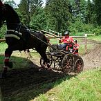 Landesmeisterschaften_Gespannfahren_Fohlenhof_Ebbs_Fotograf_Anita_Baumgartner