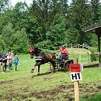 Landesmeisterschaften_Gespannfahren_Fohlenhof_Ebbs_Fotograf_Anita_Baumgartner