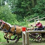 Landesmeisterschaften_Gespannfahren_Fohlenhof_Ebbs_Fotograf_Anita_Baumgartner