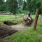 Landesmeisterschaften_Gespannfahren_Fohlenhof_Ebbs_Fotograf_Anita_Baumgartner