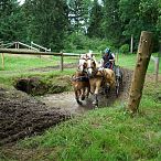 Landesmeisterschaften_Gespannfahren_Fohlenhof_Ebbs_Fotograf_Anita_Baumgartner