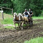 Landesmeisterschaften_Gespannfahren_Fohlenhof_Ebbs_Fotograf_Anita_Baumgartner