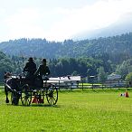 Landesmeisterschaften_Gespannfahren_Fohlenhof_Ebbs_Fotograf_Anita_Baumgartner