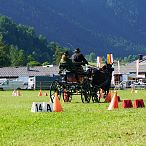 Landesmeisterschaften_Gespannfahren_Fohlenhof_Ebbs_Fotograf_Anita_Baumgartner