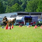 Landesmeisterschaften_Gespannfahren_Fohlenhof_Ebbs_Fotograf_Anita_Baumgartner