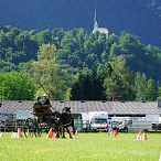 Landesmeisterschaften_Gespannfahren_Fohlenhof_Ebbs_Fotograf_Anita_Baumgartner