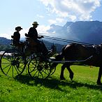 Landesmeisterschaften_Gespannfahren_Fohlenhof_Ebbs_Fotograf_Anita_Baumgartner