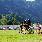 Landesmeisterschaften_Gespannfahren_Fohlenhof_Ebbs_Fotograf_Anita_Baumgartner