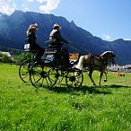 Landesmeisterschaften_Gespannfahren_Fohlenhof_Ebbs_Fotograf_Anita_Baumgartner