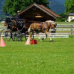 Landesmeisterschaften_Gespannfahren_Fohlenhof_Ebbs_Fotograf_Anita_Baumgartner