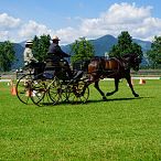 Landesmeisterschaften_Gespannfahren_Fohlenhof_Ebbs_Fotograf_Anita_Baumgartner