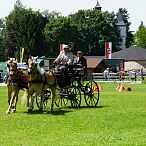 Landesmeisterschaften_Gespannfahren_Fohlenhof_Ebbs_Fotograf_Anita_Baumgartner