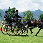 Landesmeisterschaften_Gespannfahren_Fohlenhof_Ebbs_Fotograf_Anita_Baumgartner