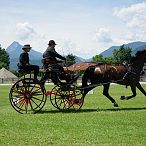 Landesmeisterschaften_Gespannfahren_Fohlenhof_Ebbs_Fotograf_Anita_Baumgartner