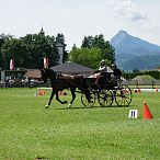 Landesmeisterschaften_Gespannfahren_Fohlenhof_Ebbs_Fotograf_Anita_Baumgartner