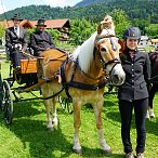 Landesmeisterschaften_Gespannfahren_Fohlenhof_Ebbs_Fotograf_Anita_Baumgartner