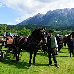 Landesmeisterschaften_Gespannfahren_Fohlenhof_Ebbs_Fotograf_Anita_Baumgartner