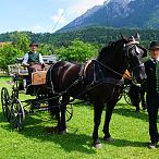 Landesmeisterschaften_Gespannfahren_Fohlenhof_Ebbs_Fotograf_Anita_Baumgartner