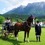 Landesmeisterschaften_Gespannfahren_Fohlenhof_Ebbs_Fotograf_Anita_Baumgartner